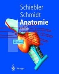 Abbildung von: Anatomie - Springer