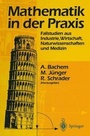 Cover: Mathematik in der Praxis - Springer