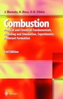 Cover: Combustion - Springer