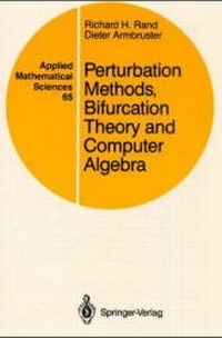Enlarge image Cover: Perturbation Methods, Bifurcation Theory and Computer Algebra - Springer