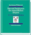 Cover: Bau und Funktionen des menschlichen K&ouml;rpers - Urban & Fischer