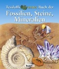 Cover: Tessloffs erstes Buch der Fossilien, Steine, Mineralien - Tessloff Verlag Ragnar Tessloff GmbH & Co. KG
