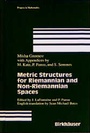 Cover: Metric Structures for Riemannian and Non-Riemannian Spaces - Birkhäuser Verlag GmbH
