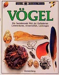 Cover: V&ouml;gel - Gerstenberg