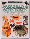 Cover: Muscheln & Schnecken - Gerstenberg