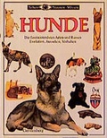 Cover: Hunde - Gerstenberg