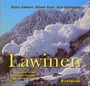 Cover: Lawinen - Birkhäuser Verlag GmbH