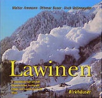 Enlarge image Cover: Lawinen - Birkhäuser Verlag GmbH