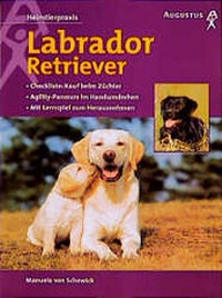 Enlarge image Cover: Labrador Retriever - Augustus