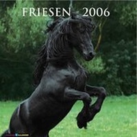 Enlarge image Cover: Friesen 2006 - Stadler Konstanz