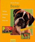 Cover: Boxer - Falken Verlag