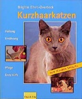 Cover: Kurzhaarkatzen - Falken Verlag
