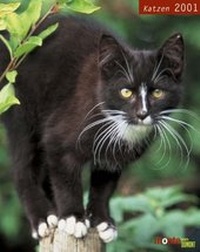 Enlarge image Cover: Diary Katzen 2001 - MAIRDUMONT