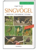 Cover: Singv&ouml;gel - gondolino