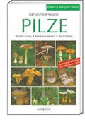 Cover: Pilze - gondolino
