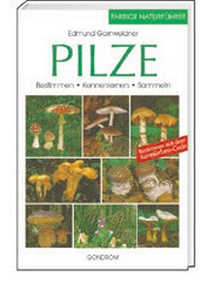 Enlarge image Cover: Pilze - gondolino