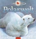 Cover: insider Wissen. Polarwelt - Oetinger