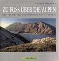 Cover: Zu Fuss &uuml;ber die Alpen - Bruckmann