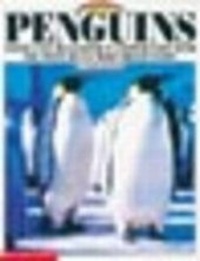 Enlarge image Cover: Penguins - Scholastic