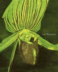 Cover: Luc Tuymans - Hatje Cantz Verlag