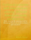 Cover: Cultural Patterns and Interactions Among African American Male Adolescents: How They Can be Misconceived by European American Youth Workers and Educators - K Phillips and Company