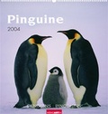 Cover: Pinguine 2004 - Kunstverlag Weingarten