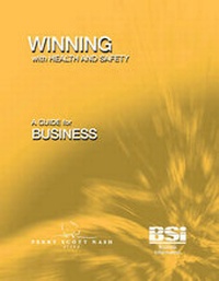 Enlarge image Cover: Winning with Health and Safety - BSI Standards
