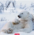 Cover: Polarb&auml;ren 2005 - Kunstverlag Weingarten