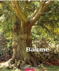 Cover: B&auml;ume 2006 - Kunstverlag Weingarten