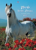 Cover: Pferde 2005 - Edition Lipp