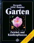 Cover: Zwiebel /Knollenpflanzen - ADAC Medien und Reise