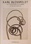 Cover: Karl Blossfeldt: Licht an der Grenze des Sichtbaren - Schirmer Mosel