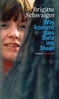 Cover: Wie kommt das Salz ins Meer - Haymon Verlag