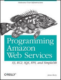 Abbildung von: Programming Amazon Web Services - O'Reilly