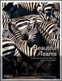 Cover: Beautiful Teams - O'Reilly