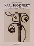 Cover: Karl Blossfeldt - Schirmer Mosel