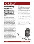 Cover: How to Keep Your Boss from Sinking Your Project - O'Reilly