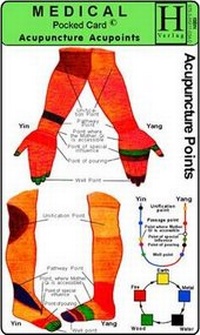 Abbildung von: Acupuncture - Acupoints /Medical Pocket Card - Hawelka, Uwe