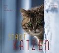 Cover: Stadtkatzen - Groh