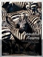 Cover: Beautiful Teams - O'Reilly