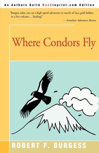 Enlarge image Cover: Where Condors Fly - iUniverse
