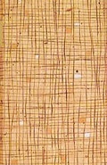 Cover: Geschichten - Verlag Hermann Schmidt