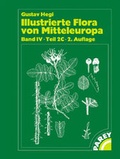 Cover: Illustrierte Flora von Mitteleuropa. Pteridophyta - Spermatophyta - Parey bei Blackwell