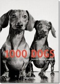Enlarge image Cover: 1000 Dogs - TASCHEN