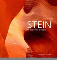 Enlarge image Cover: Stein - Frederking & Thaler
