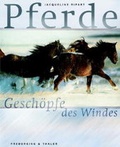 Cover: Pferde - Gesch&ouml;pfe des Windes - Frederking & Thaler