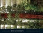 Cover: Baumriesen - Frederking & Thaler