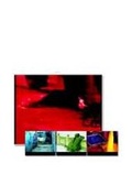 Cover: Indien - Ein Fest der Farben - Frederking & Thaler