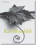 Cover: Blossfeldt - TASCHEN