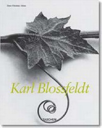 Enlarge image Cover: Blossfeldt - TASCHEN